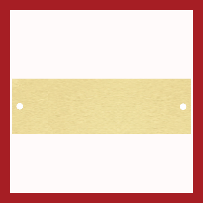 3.125" x 1" | Satin Brass Perpetual Plate
