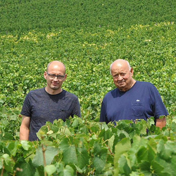 Domaine Christian Moreau, Chablis 1er Cru Vaillon 2023