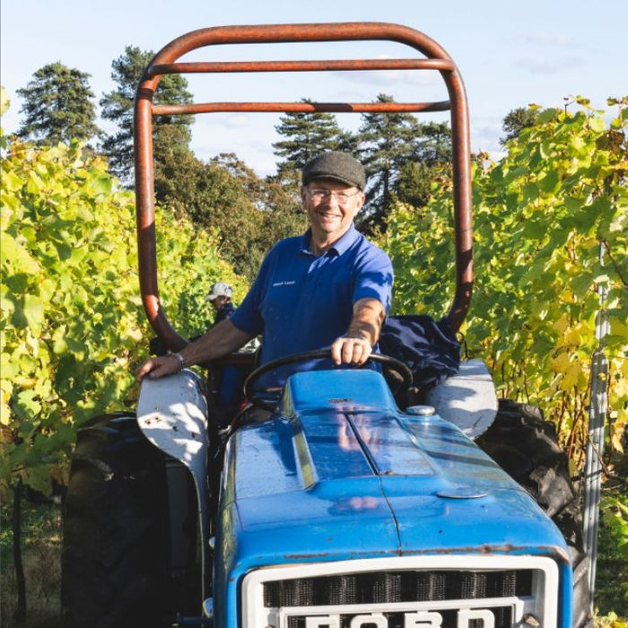 Flint Vineyard, Silex 2023