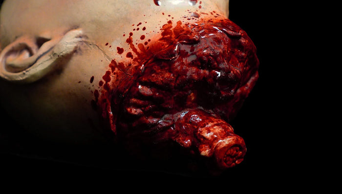 "Decapitated Dana" Severed Head HD Studios Ulta Realistic Halloween Prop