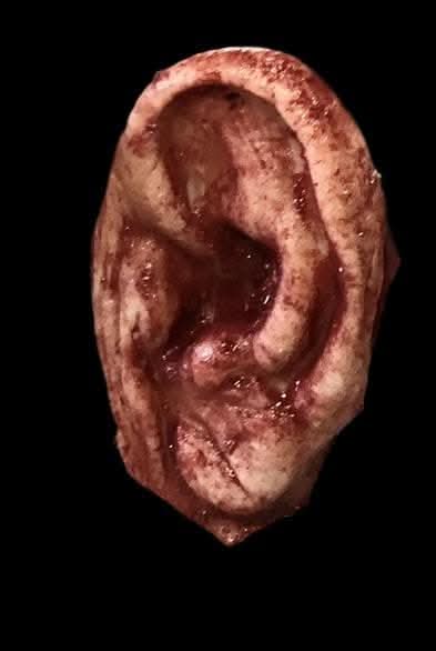 "Severed Ear" Halloween Prop