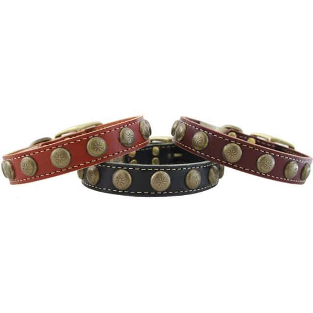 Sunburst Leather Collar