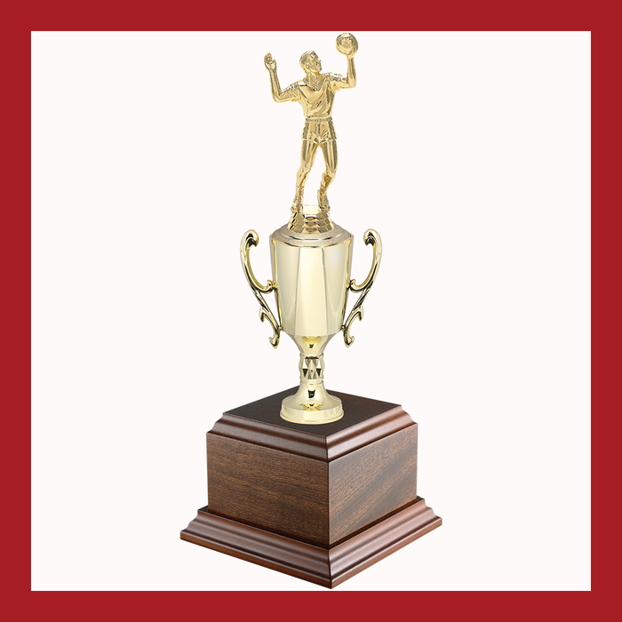 Volleyball Chalice Cup Trophy
