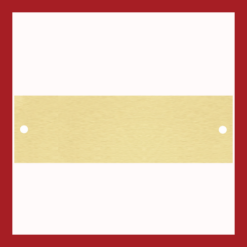 3.125" x 1" | Satin Brass Perpetual Plate