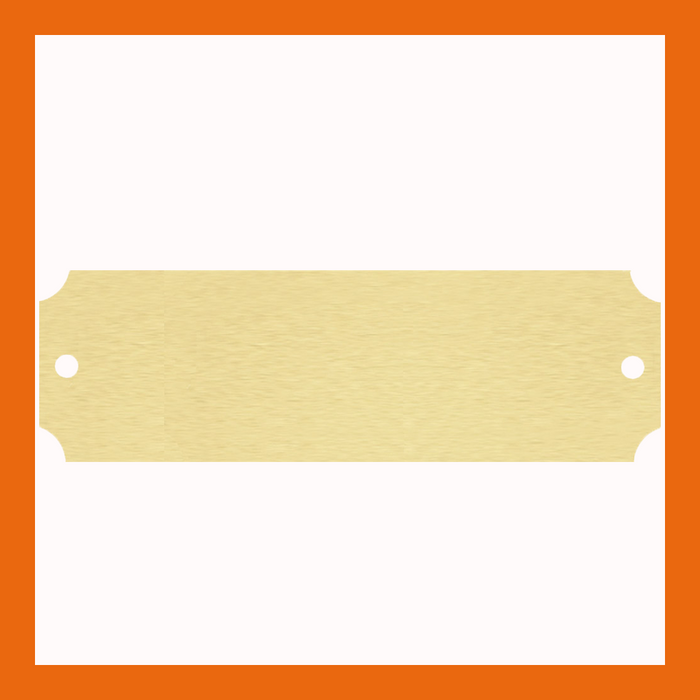 4.50" x 1" | Satin Brass Notched Perpetual Plate