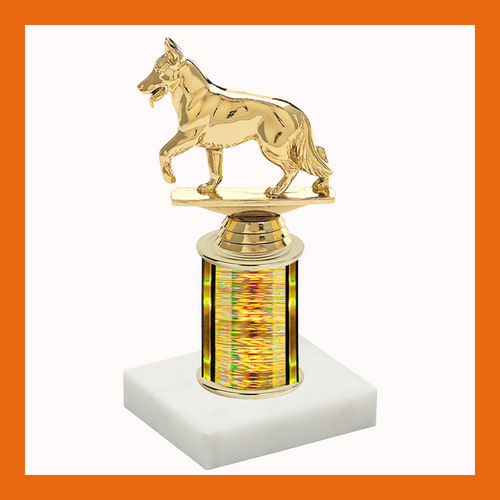 4H & Animal Trophy