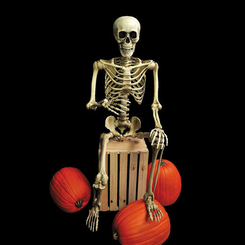 5 Ft. Realistic Posable Articulated Skeleton Halloween Decoration