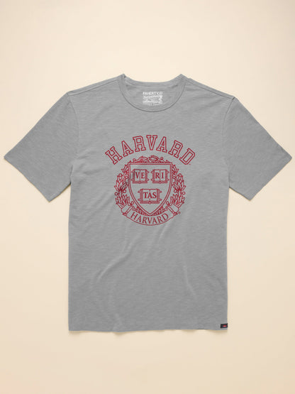 Harvard Sunwashed Tee - Granite Heather