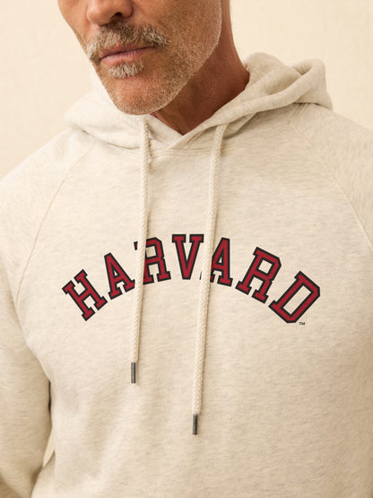 Harvard High Standard Fleece Hoodie - Antique Ivory Heather