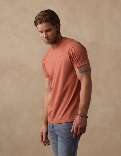 Illustrated Bear Tee in Redwood