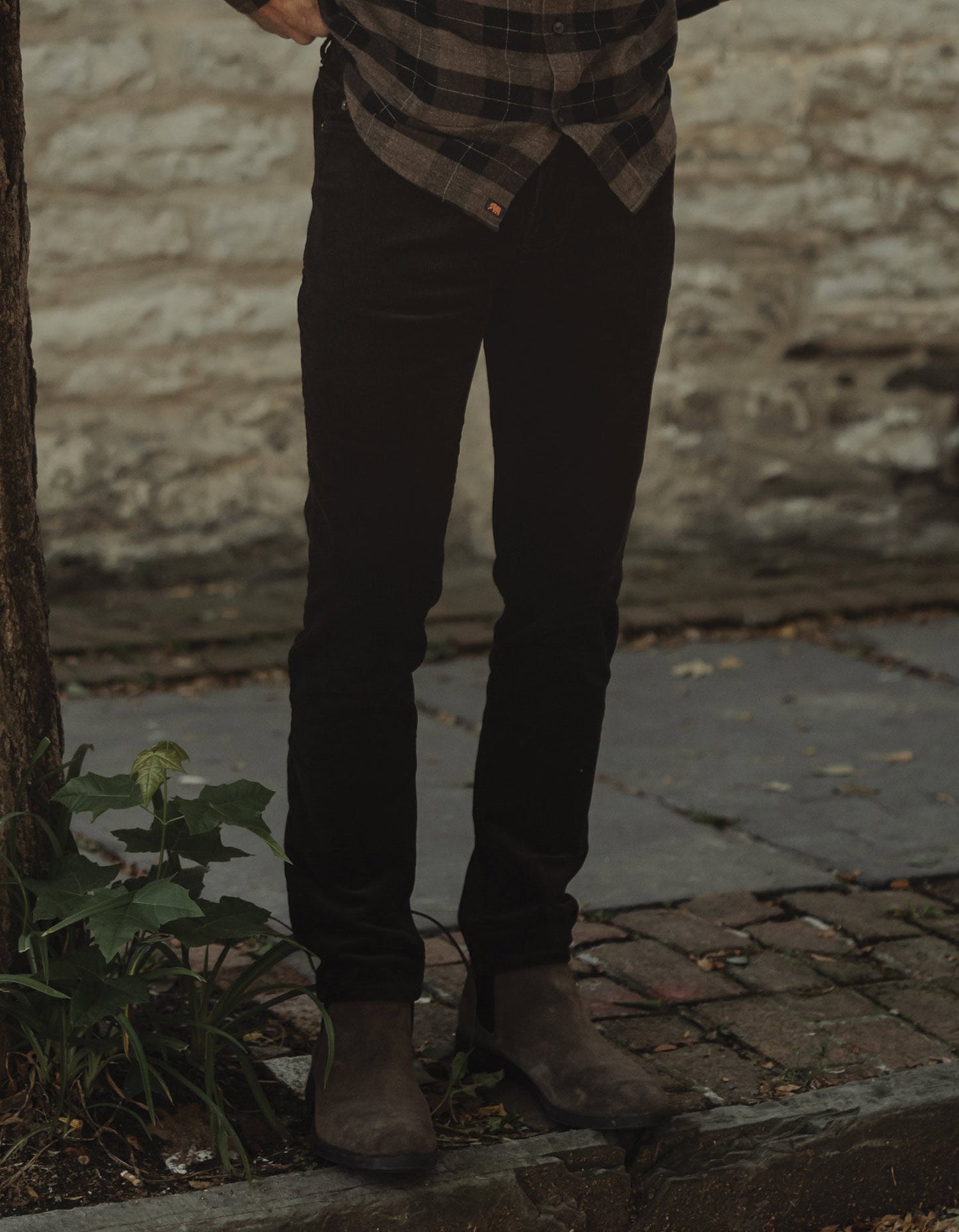 Comfort Cord Pant in Dark Brown