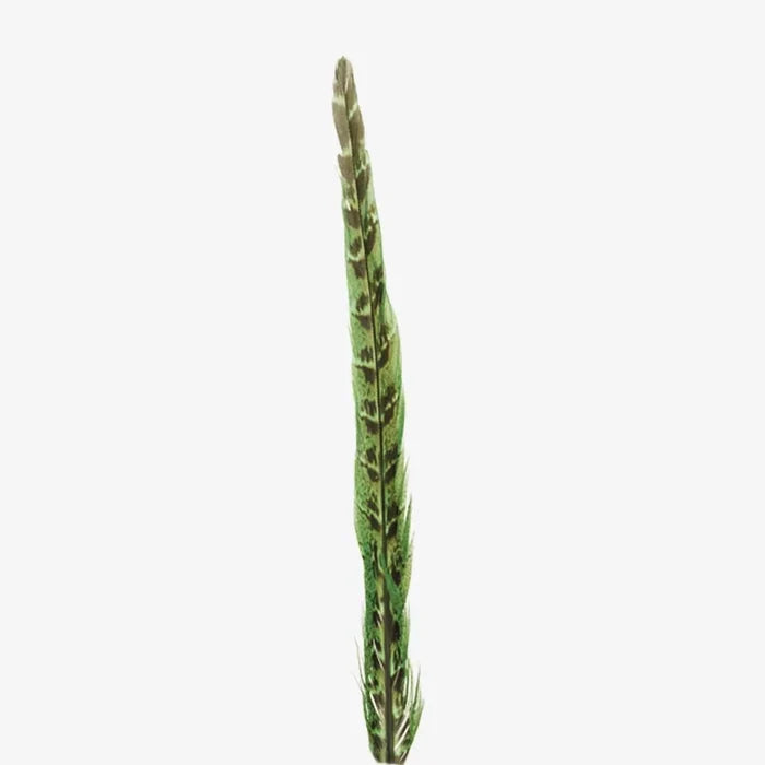 American hat makers ringneck vivid hat feather