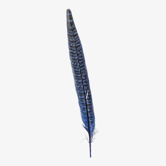 American hat makers ringneck vivid hat feather