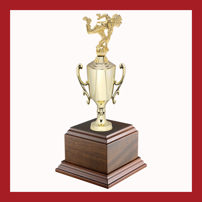 Bowling Chalice Cup Trophy
