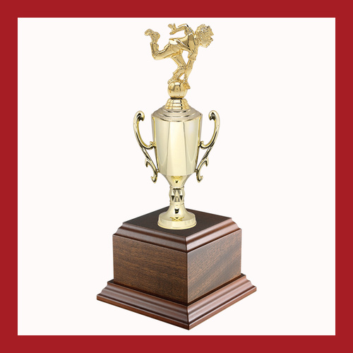 Bowling Chalice Cup Trophy