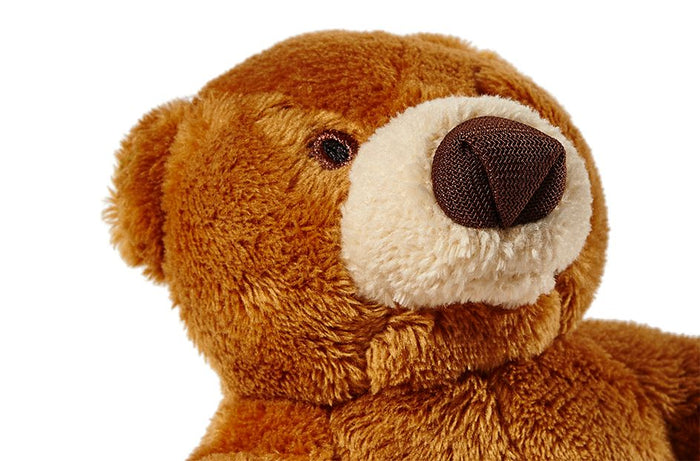Cubby the Bear Plush Dog Toy