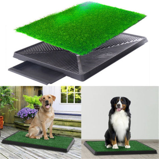 Dog Potty home Training W/ Paw Washer-TopOnlineBargains.Com