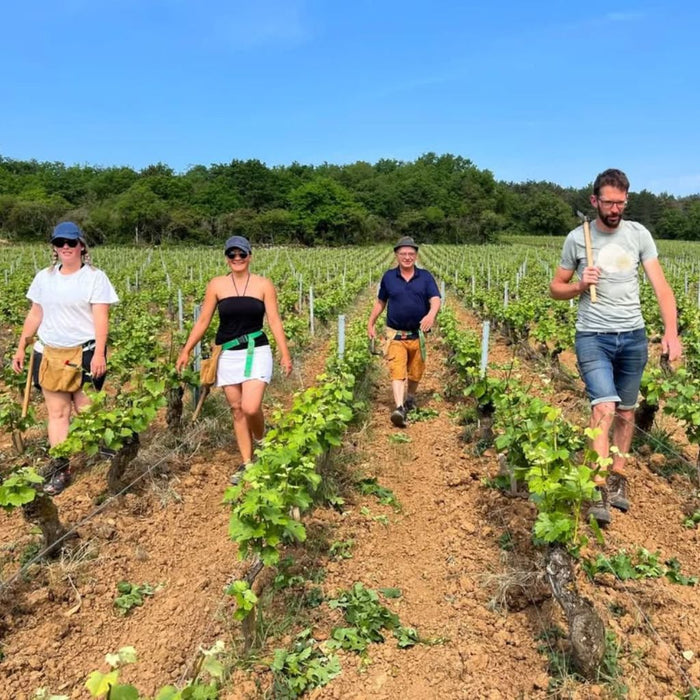 Domaine Belleville, Puligny-Montrachet Les Boudriers 2024