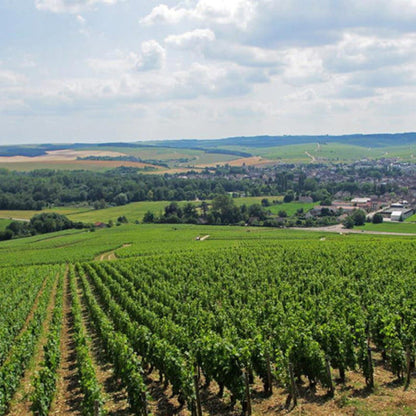 Domaine Christian Moreau, Chablis 1er Cru Vaillon 2023