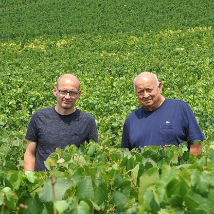 Domaine Christian Moreau, Chablis 1er Cru Vaillon 2023