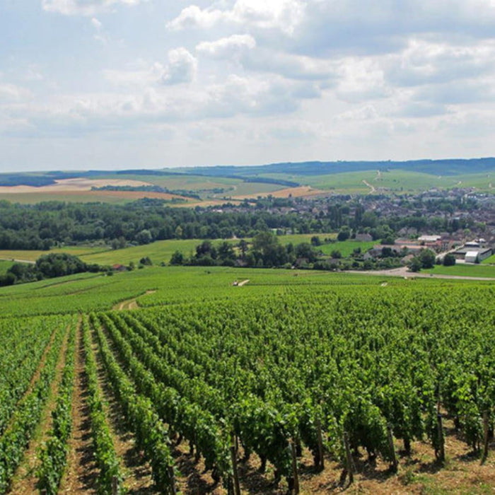 Domaine Christian Moreau, Chablis Grand Cru Valmur 2023