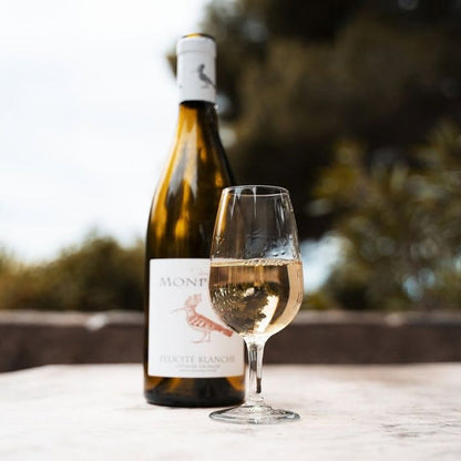 Domaine Monplezy, Felicite Blanc 2024