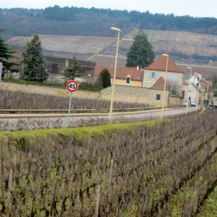 Domaine Remi Jeanniard, Morey-Saint-Denis 1er Cru Les Ruchots 2024