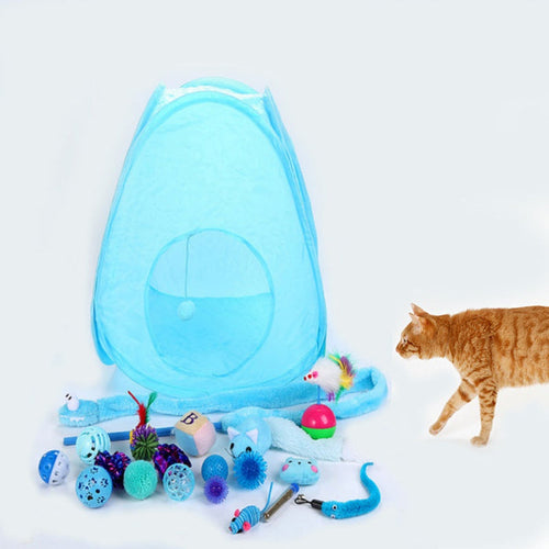 Everything you need for your cat-TopOnlineBargains.Com
