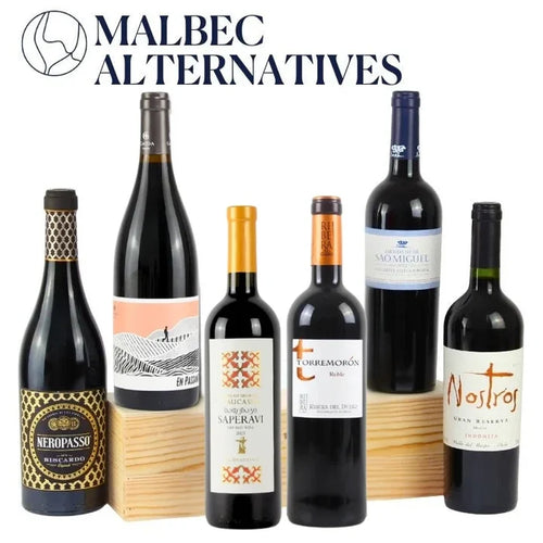 A selection of 6 red wines that are good alternatives to Malbec against a white background
