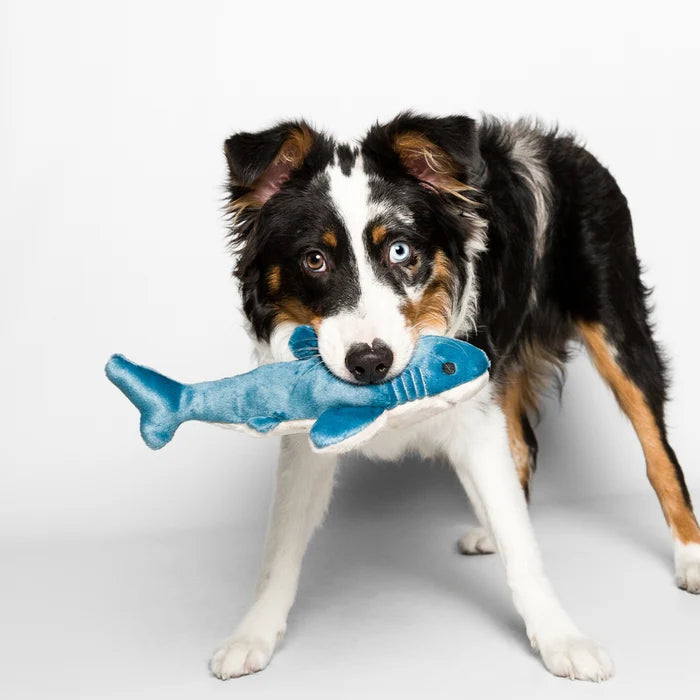 Fluff & Tuff - Tank the Shark Plush Dog Toy
