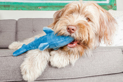 Fluff & Tuff - Tank the Shark Plush Dog Toy