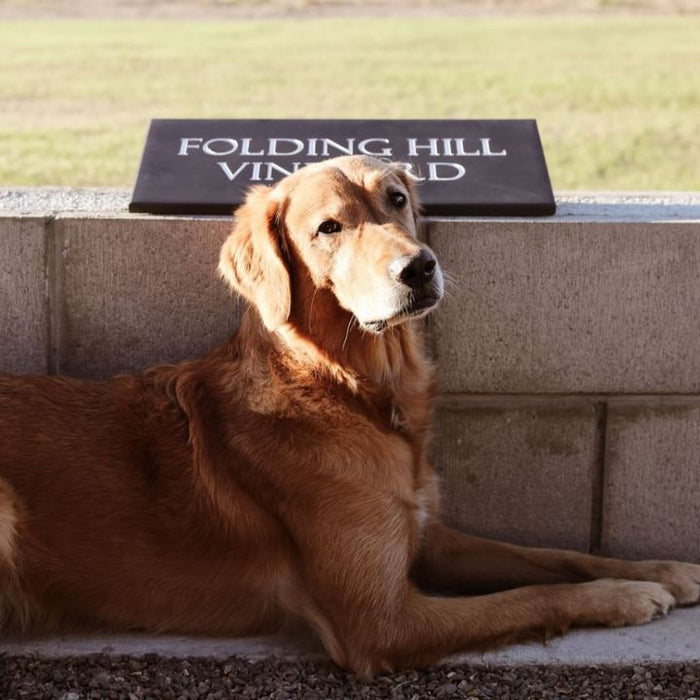 Folding Hill, Pinot Noir 2021