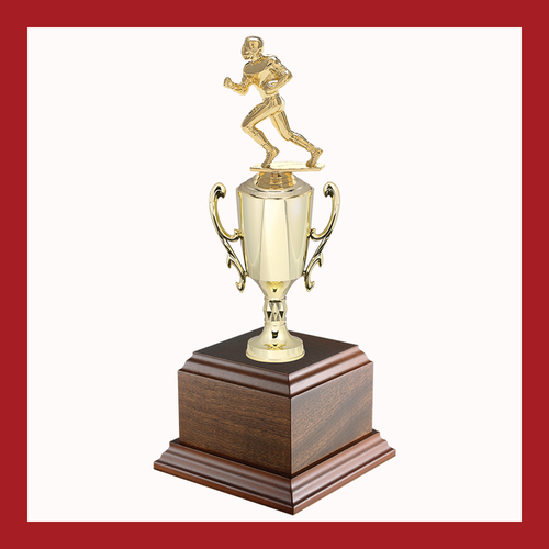Football Chalice Cup Trophy