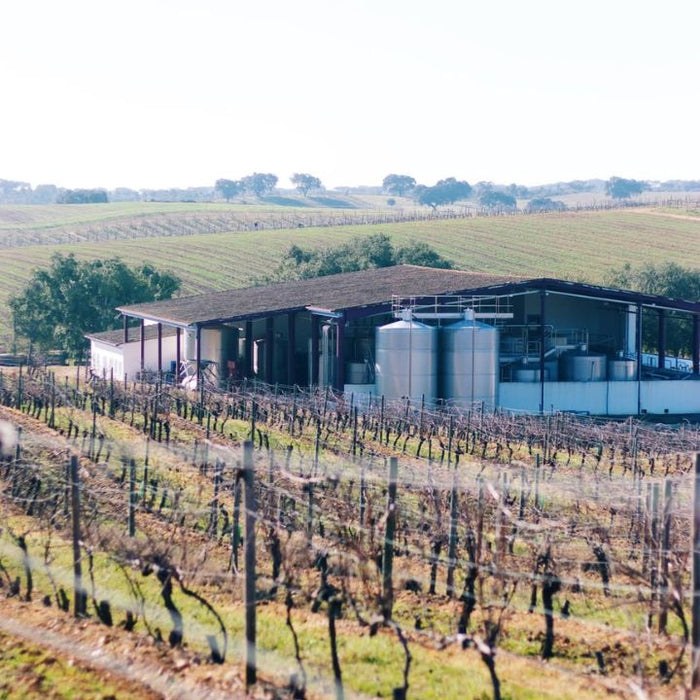 Herdade De Sao Miguel Winery