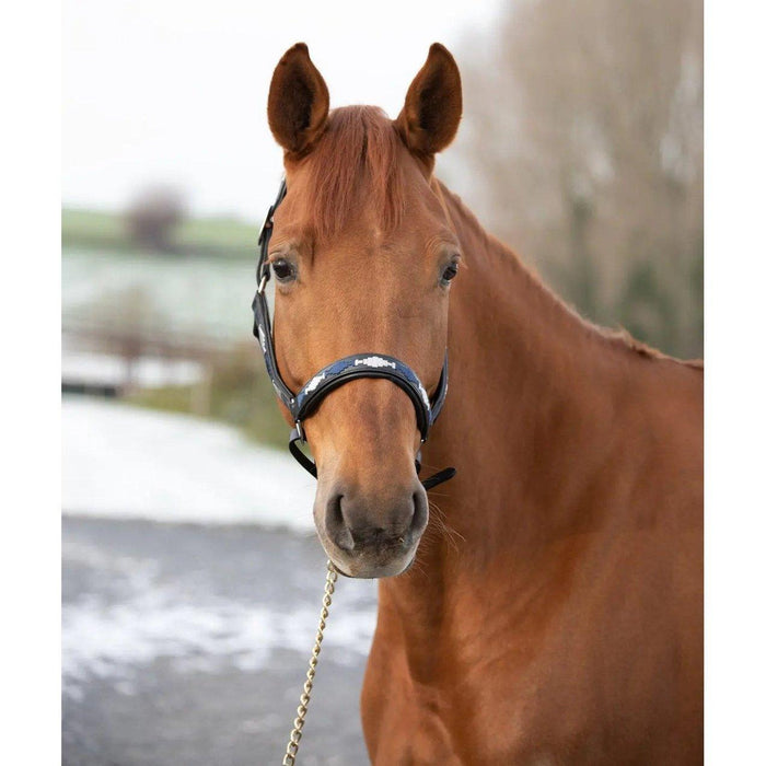 HFI polo halter HFI