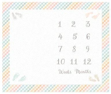 How Old Am I? Basic Panel Quilt Kit