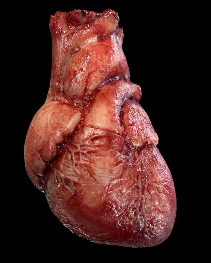 "Human Heart" Silicone Human Body Part Halloween Prop