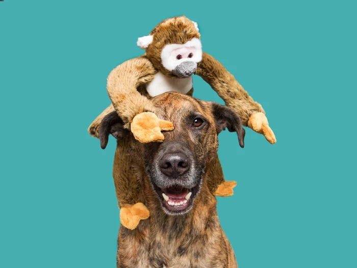 Monkey Albert Plush Tough Dog Toy