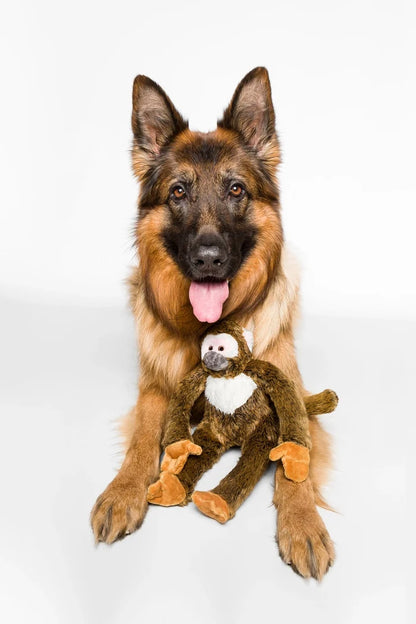 Monkey Albert Plush Tough Dog Toy