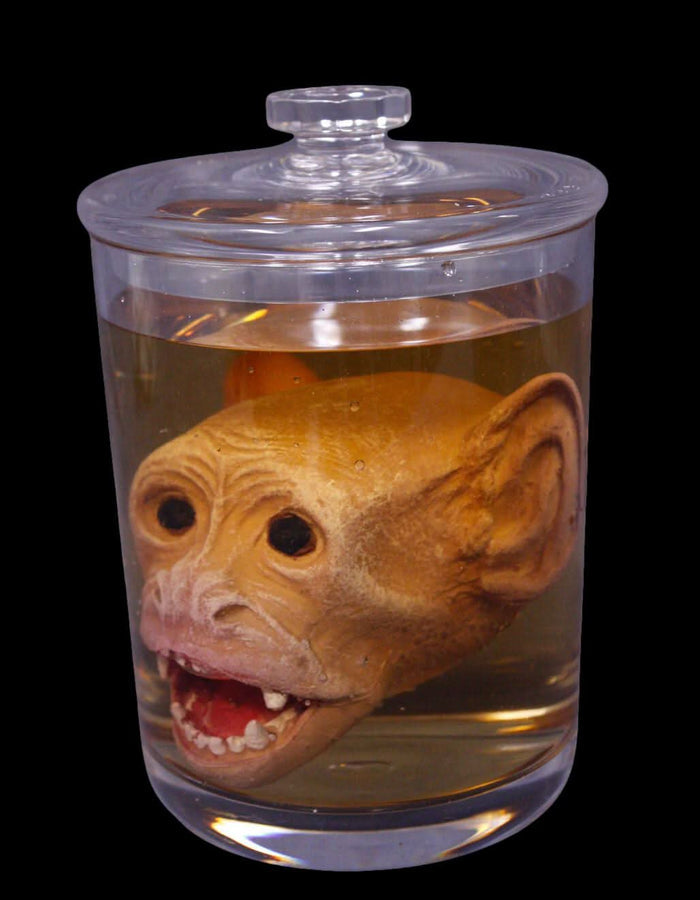 Monkey Head Specimen Jar Halloween Prop