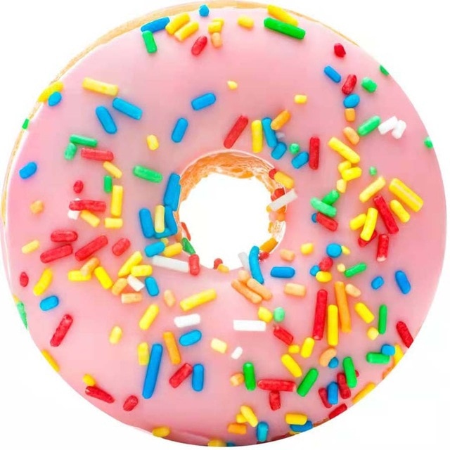 Pink Doughnut / Diameter 3ft