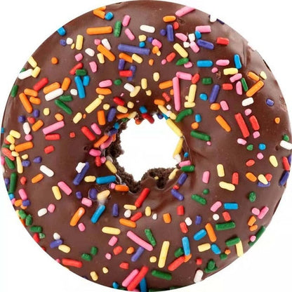 Chocolate Doughnut / Diameter 3ft