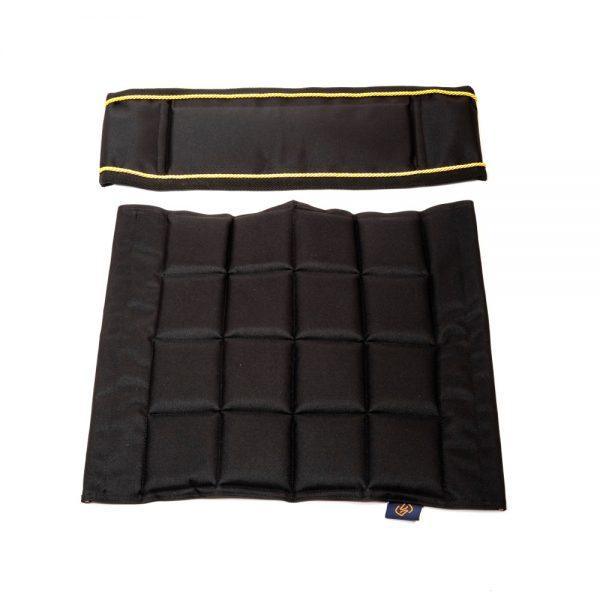 Black / Gold