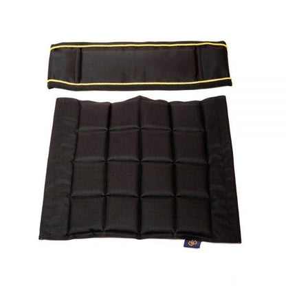 Black / Gold