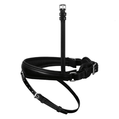 Passier anatomically formed caveson special with padded flash strap loop