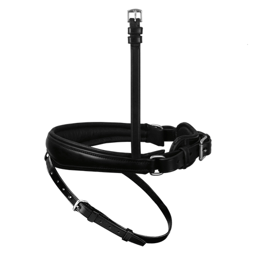 Passier anatomically formed caveson special with padded flash strap loop