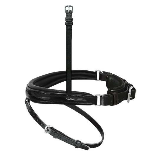 Passier anatomically formed caveson special with patent leather trim and flash strap