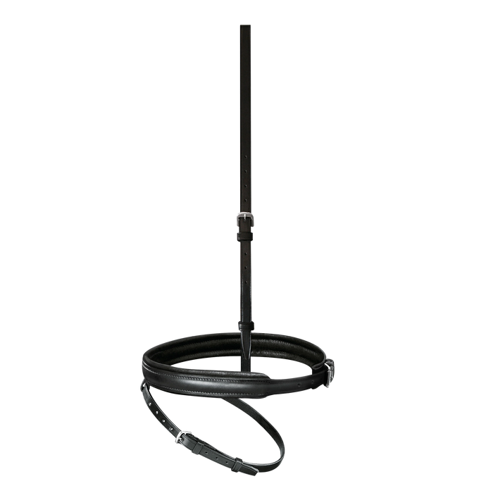 Passier anatomically formed flash noseband