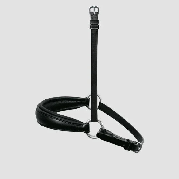 Passier exchangeable dropped noseband