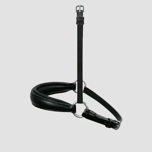 Passier exchangeable dropped noseband